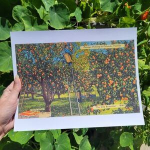 Orange Picking Art Print